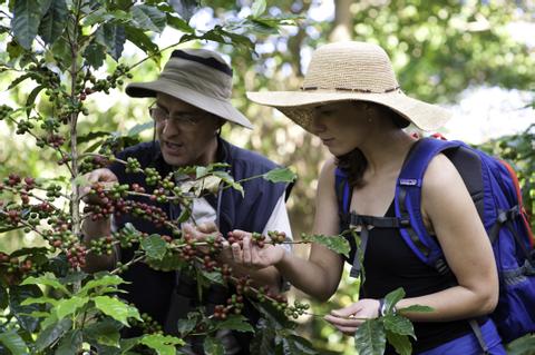 Recorrido por la plantación de Finca Rosa Blanca