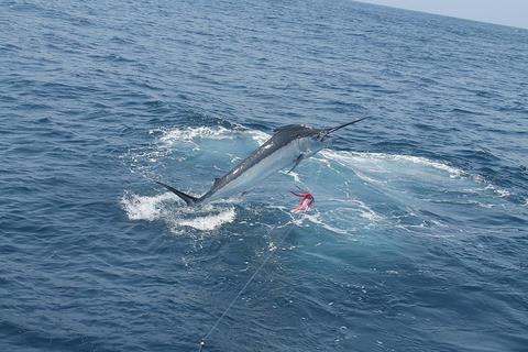 Santa Cruz Fishing Tour