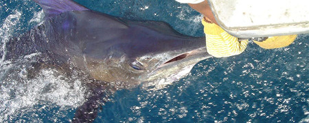 Santa Cruz Fishing Tour photo 3