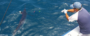 Santa Cruz Fishing Tour photo 4