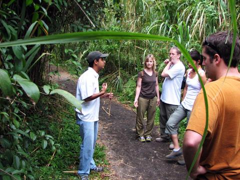 4-in-1 Safari Float, Waterfall, Volcano Walk, and Eco Termales Costa Rica