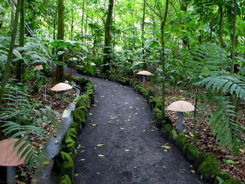 4-in-1 Safari Float, Waterfall, Volcano Walk, and Eco Termales Costa Rica