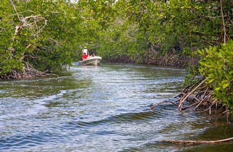 Full-Day Ocean Adventure Tour