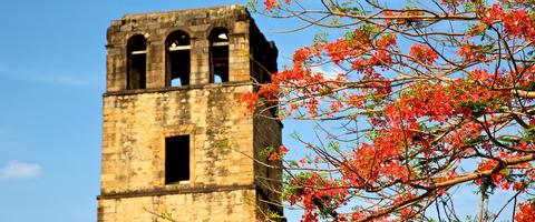 Full Day City and Canal Tour Panama