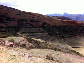 Full Day Mountain Bike Moray Maras photo 5