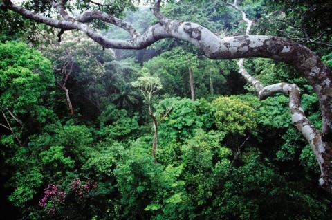 Gamboa Rainforest Mega Combo Panama