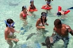 Glass Bottom Boat Tour Belize