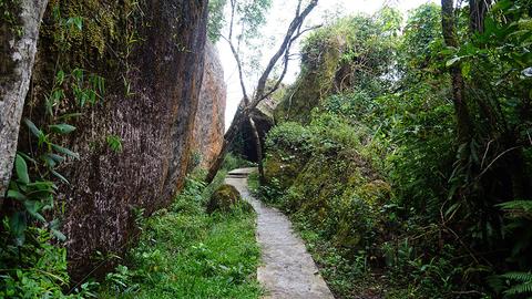 Tour de Excursionismo la Gran Piedra