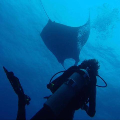 Guanacaste Scuba Diving Costa Rica