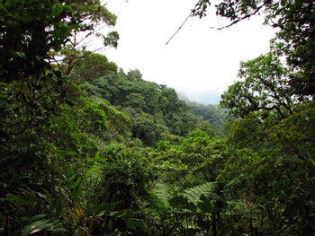 Guided Tour Santa Elena Reserve photo 5