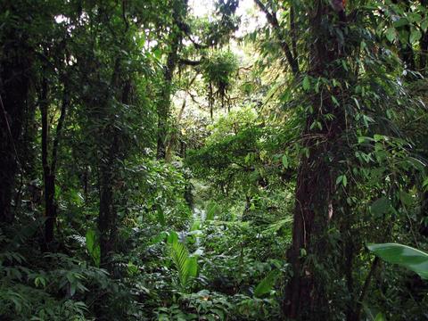 Tour guiado en la Reserva de Santa Elena