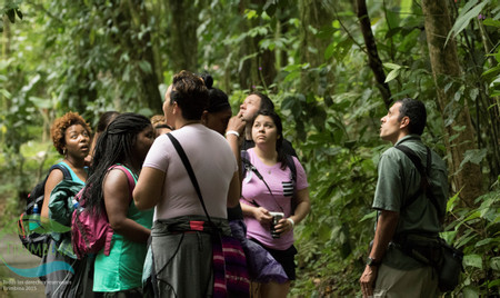 Tirimbina Natural History Guided Walk photo 3