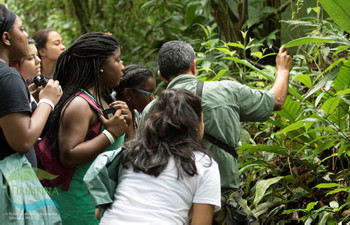 Tirimbina Natural History Guided Walk photo 4