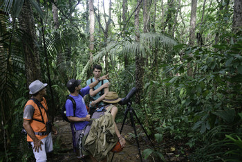 Tour de aves Selva Tropical Hacienda Barú photo 4