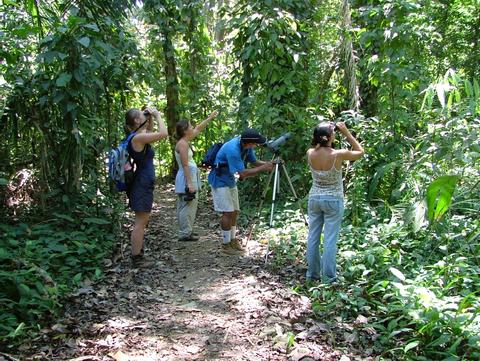 Tour de aves Selva Tropical Hacienda Barú