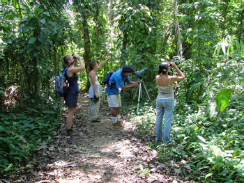 Dominical, Costa Rica Tours and Activities