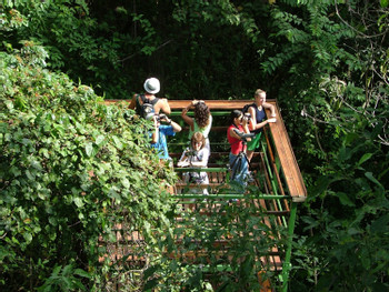 Tour de aves Selva Tropical Hacienda Barú photo 2