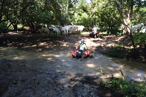Mountain Trail ATV Tour