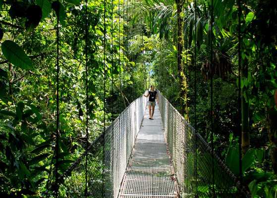 Mistico Hanging Bridges Walk Mistico Hanging Bridges Walk