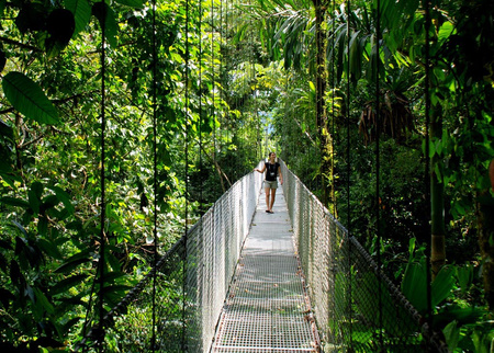 Hanging Bridges
