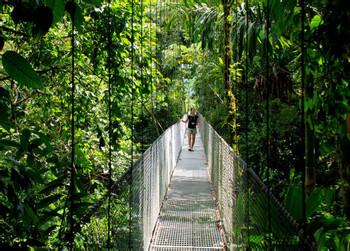 Mistico Hanging Bridges Regular Birdwatching Guided Tour photo 4