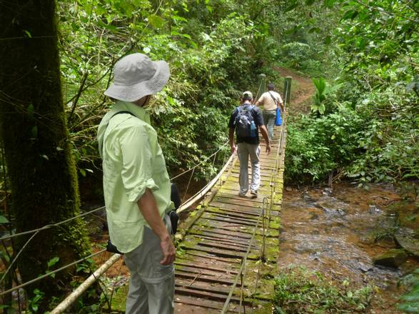 Herrera Highlands: Farms and Forests, Panama