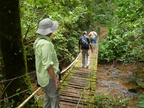 Herrera Highlands: Farms and Forests