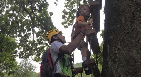 High Ropes Course Quick Jump and Ceiba Rappel Tour Costa Rica