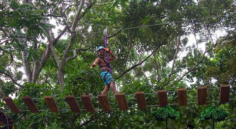Tour de cuerdas altas, caída libre & Rapel en la Ceiba