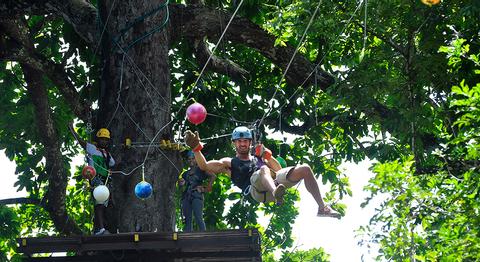 Tour de cuerdas altas, caída libre & Rapel en la Ceiba Costa Rica