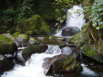 Hacienda Pozo Azul Hiking Tour - Costa Rica photo 3