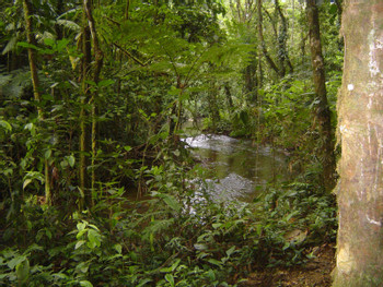 Hacienda Pozo Azul Hiking Tour - Costa Rica photo 5