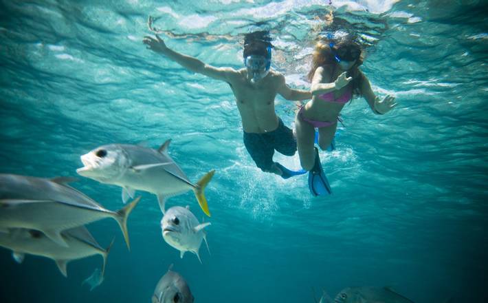 Snorkeling Adventure with Sharks and Rays at Hol Chan Marine Reserve, Belize