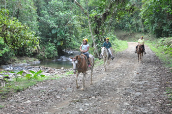 Horseback Riding Manuel Antonio photo 5