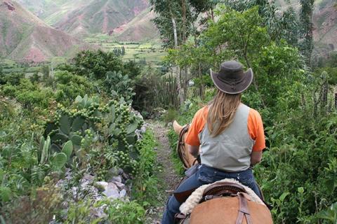 Paseos a caballo & Salinas Inca de Maras Peru