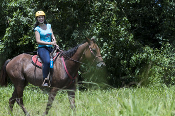 Horseback Riding Tour photo 5