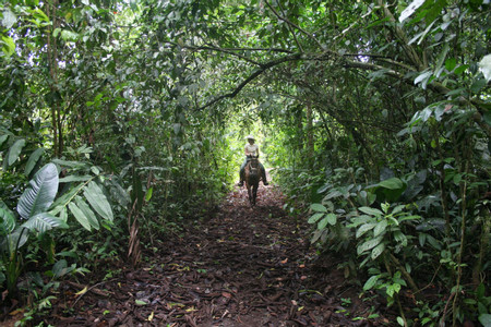 Horseback Riding Tour photo 3