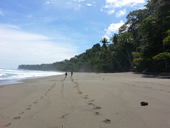 Caminata de alta intensidad en la selva Corcovado 3 días 2 noches photo 4
