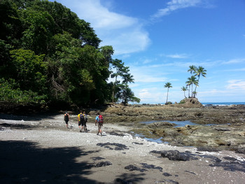 Caminata de alta intensidad en la selva Corcovado 3 días 2 noches photo 5