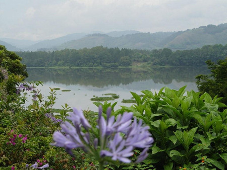Irazu Volcano, Lankester Gardens, and Orosi Valley photo 3