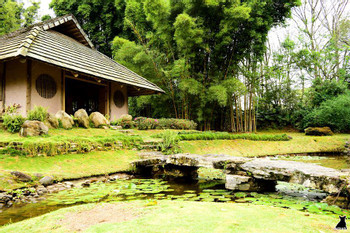 Irazu Volcano, Lankester Gardens, and Orosi Valley photo 2
