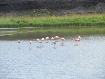 Tour de la Tierra Isabela photo 5