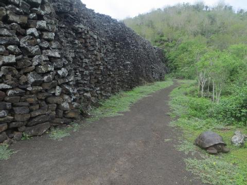 Isabela Land Tour Ecuador