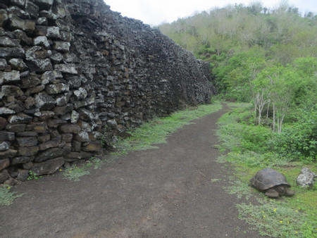 Tour de la Tierra Isabela photo 3