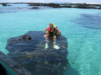 Isabela Island and Las Tintoreras photo 5