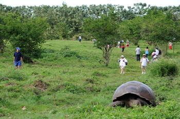 Isabela Island and Las Tintoreras photo 2