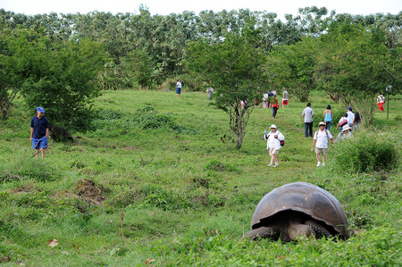 Isabela Island and Las Tintoreras photo 2