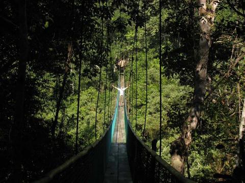 Ixpanpajul Natural Park Guatemala