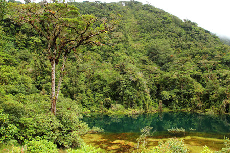 Juan Castro Blanco National Park photo 2