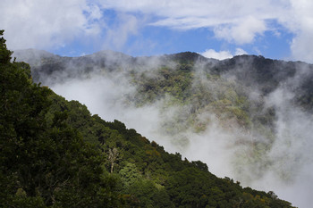 Juan Castro Blanco National Park photo 4